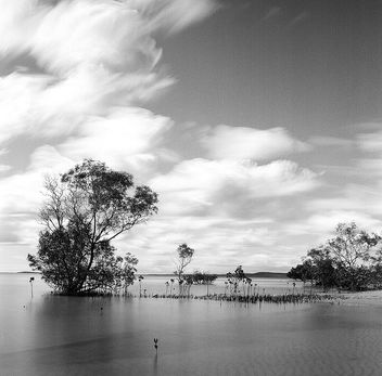 Fraser Island - Ilford HP5+ 120 film - бесплатный image #413393