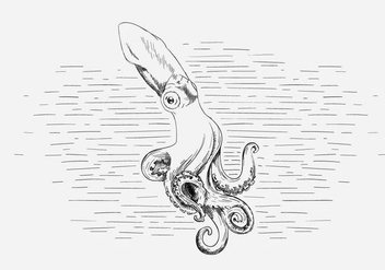 Free Vector Octopus Illustration - бесплатный vector #419033