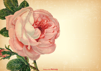 Vintage Shabby Floral Background - vector #421843 gratis