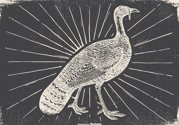 Vintage Wild Turkey Illustration - Kostenloses vector #422943