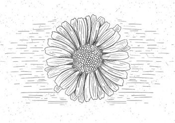 Free Vector Flower Illustration - бесплатный vector #423723