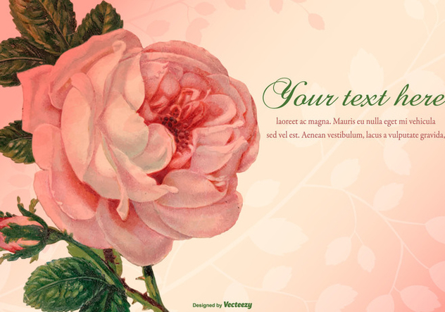 Beautiful Vintage Rose Illustration - vector #424183 gratis