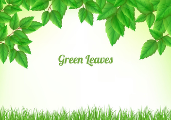 Green Leaves Background - vector #424323 gratis