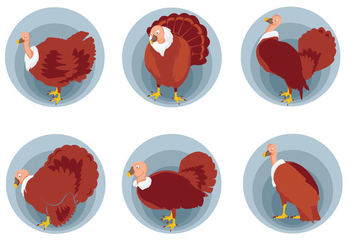 Wild turkey pose vector illustration - бесплатный vector #426113