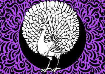 Ornate Peacock Bird Design - Free vector #428033