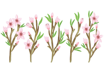 Vector Floral Branches Collection - Free vector #428493