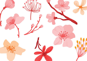 Free Pink Flowers Vectors - Kostenloses vector #428513