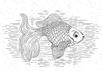 Free Goldfish Vector Hand Drawn Illustration - Free vector #429463