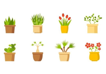 Free House Plant Collection Vector - vector gratuit #429573 