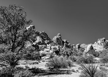 Mojave Desert - Kostenloses image #431143