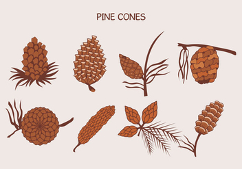 Brown Pine Cones Vector Illustration - Free vector #432313