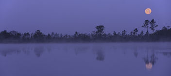 Moonset on a Foggy Morning - image #434553 gratis