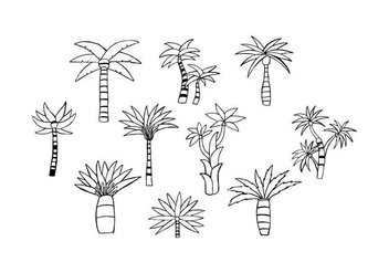 Free Palm Hand Drawn Vector - vector gratuit #435263 