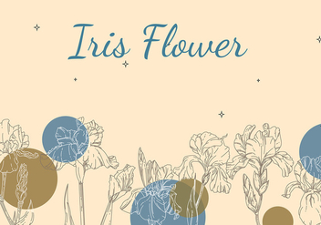 Iris Flower Background Outline Free Vector - бесплатный vector #435463