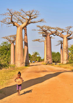 Small Girl and Baobabs - image #435653 gratis