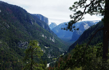 Yosemite Valley - Free image #436063