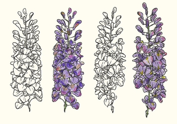 Hand Drawn Wisteria Flower Vector Illustration - Kostenloses vector #437333