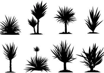 Free Yucca Icons Vector - Free vector #437503