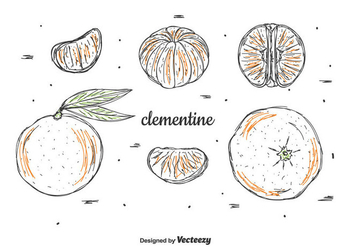 Hand Drawn Clementine Vector Set - vector gratuit #439353 