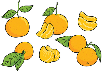 Clementine Vector Icons - vector gratuit #439383 