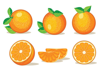 Set of Isolated Clementine Fruits on White Background - vector gratuit #439733 