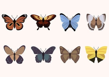 Flat Butterfly Vectors - Free vector #439873
