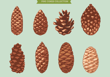 Set of Pine Cone on Green Background - бесплатный vector #441953