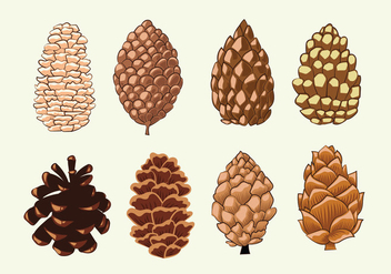 Pine Cones Set Collection - бесплатный vector #441963