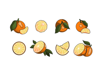 Free Clementine Vector Pack - Kostenloses vector #442253
