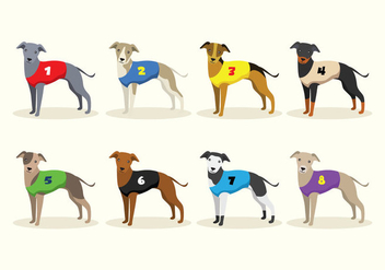 Racing Whippet Dog Vectors - Free vector #445683