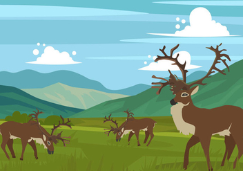 Caribou On The Hills Vector - vector gratuit #445883 