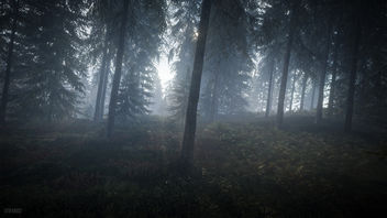 TheHunter: Call of the Wild / Misty Forest - image gratuit #448703 