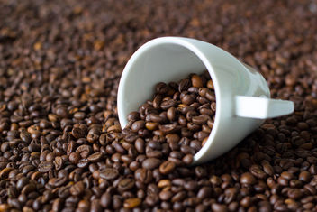 Coffe cup on coffee beans - image #450103 gratis