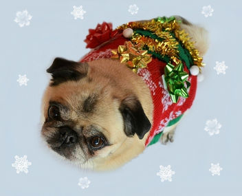 My Ugly Christmas Sweater - image gratuit #450563 