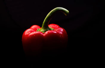 Red Pepper - Free image #452043