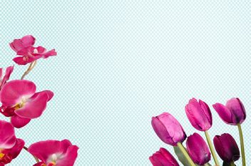 tulips and orchid on blue background - бесплатный image #452593