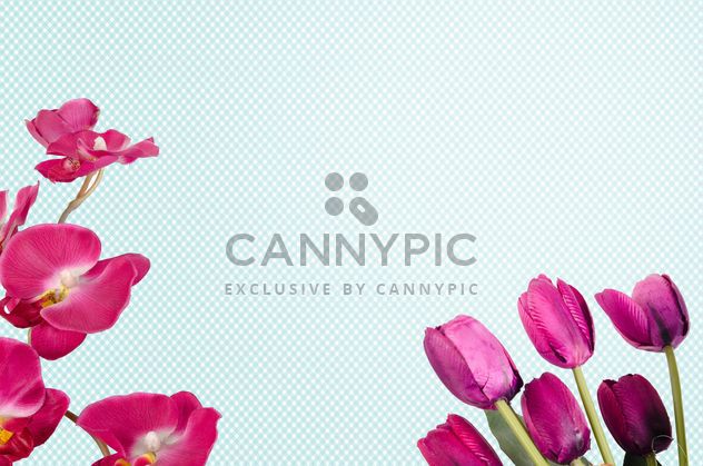 tulips and orchid on blue background - image #452593 gratis