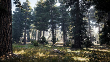 Far Cry 5 / Nature's Call - image gratuit #453163 