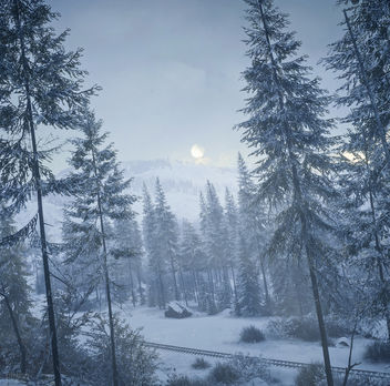 TheHunter: Call of the Wild / Today's Forecast: Snow - image gratuit #453973 