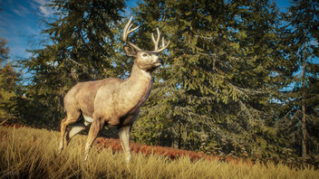 TheHunter: Call of the Wild / Nature Documentary - image gratuit #455033 