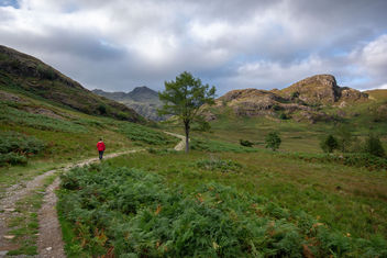The Lonely Lake District Walker. - image #455823 gratis