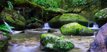 Wooroonooran National Park - image gratuit #457373 