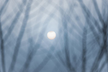 Winter Sun - image gratuit #458333 
