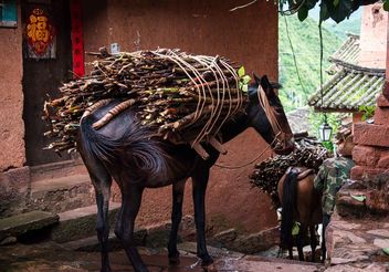 Nuodeng Pack Horses - бесплатный image #461193