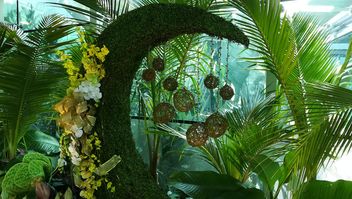 Ornamental horticulture - Wishing all Muslim friends Selamat Hari Raya - Free image #461403