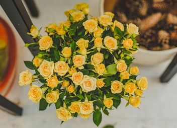 Small Yellow Roses - Free image #461853
