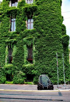 Overgrown House - image #462133 gratis