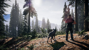 Far Cry 5 / In The Distance - бесплатный image #463363