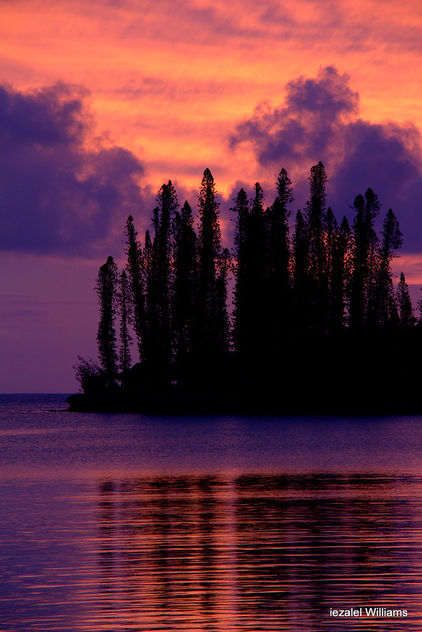 Pine trees and reflection at sunset IMG_0141 - бесплатный image #463833
