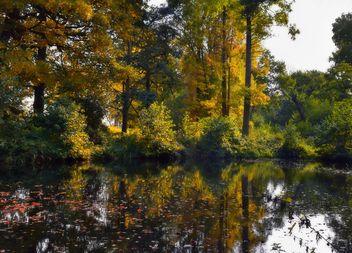 Autumn Reflections - image gratuit #465243 